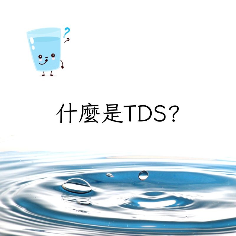 什麼是TDS？